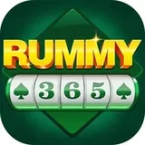 Rummy 365 app guide icon